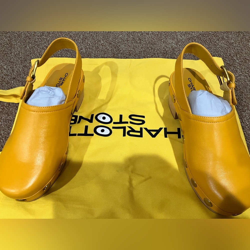 Charlotte Stone Clogs sz 7